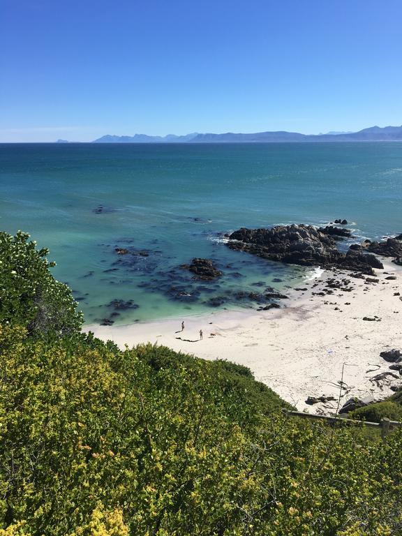 La Petite Baleine Oceanfront Luxury Villa デ・ケルデルス エクステリア 写真